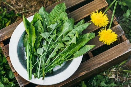 Italian Dandelion Greens recipe