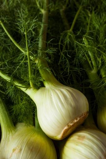 Italian Fennel Soup Recipe