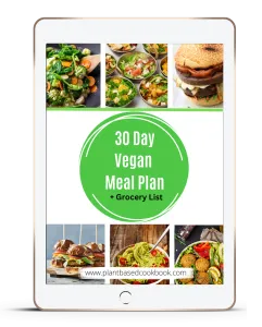 vegan meal plan 241x300 1